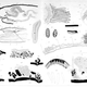 Illustration for article titled These Worms Can Only Live in Glaciers, and Liquefy When They Get Warm